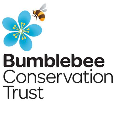 Bumblebee Conservation Trust photo